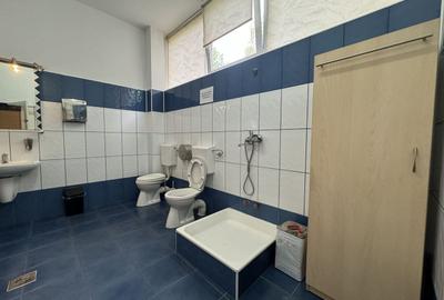 Birou, de 730 mp, în Gării - 11