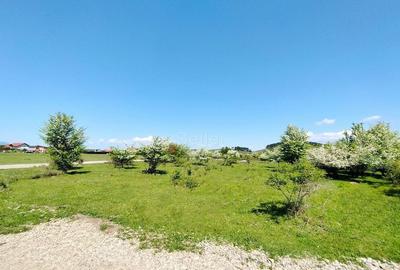 Teren Intravilan - 3