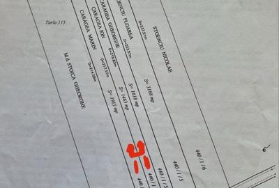 Spațiu comercial, în Corbeanca - 3