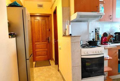 Apartament cu 2 camere decomandat în Săsar