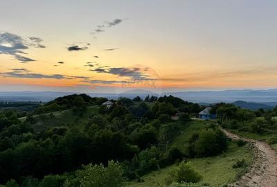 Preluca Noua jud. MARAMURES TEREN DEOSEBIT DE VANZARE - 4