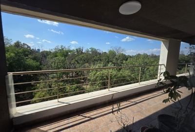 HERASTRAU SOSEAUA NORDULUI DE INCHIRIAT VEDERE PARC 4 CAMERE TERASA - 31