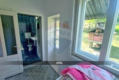 Casă individuală cu 3 camere cu Teren 3000 Mp în Cernești - 23