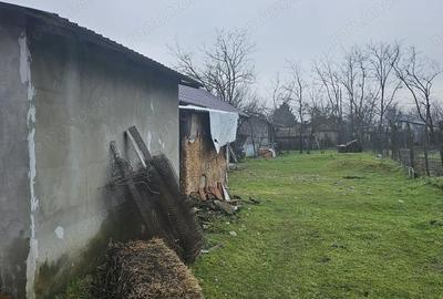 Casă cu Teren 1964 Mp în Vâlcelele - 5