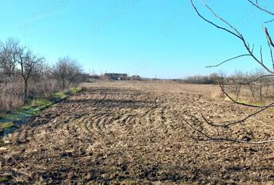 Casă cu Teren 3435 Mp în Boiu - 3