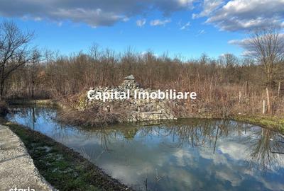 Casă cu 4 camere în Ciocadia - 15