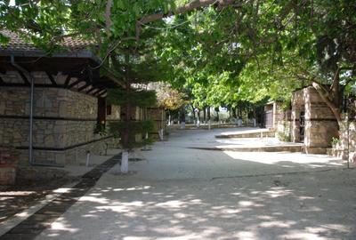 Casa de vacanta lux premium Grecia - 14