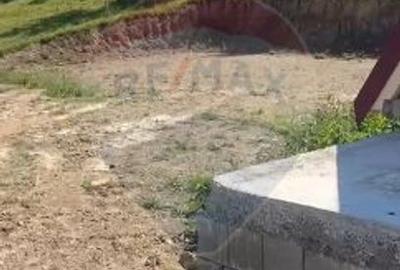 Casă individuală cu 2 camere cu Teren 17490 Mp în Ponor - 3