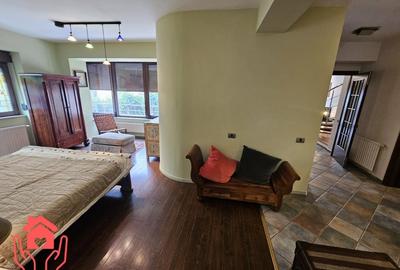 VATRA LUMINOASA-Duplex unicat, 170 mp, mobilier si amenajare FENG SHUI, liber! - 9