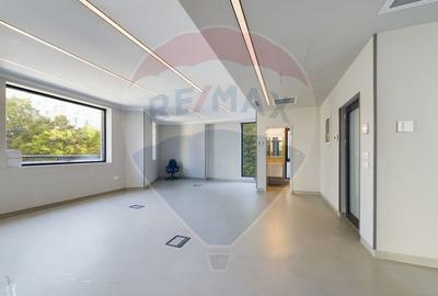 Spatiu premium birou de inchiriat, 100mp Zona Decebal, Agricultori - 3