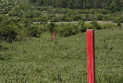 Teren de 5000 mp, în Calea Aradului - 1