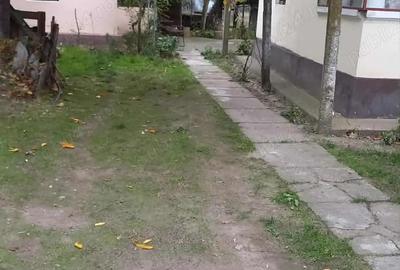Casă cu 5 camere în Jiana - 4