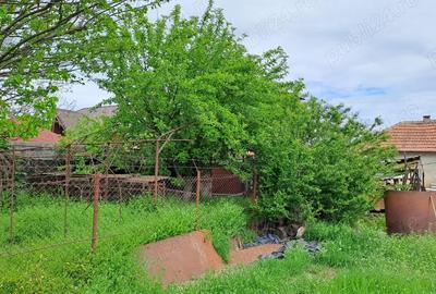 Casă cu 4 camere cu Teren 256 Mp în Oltenița - 1