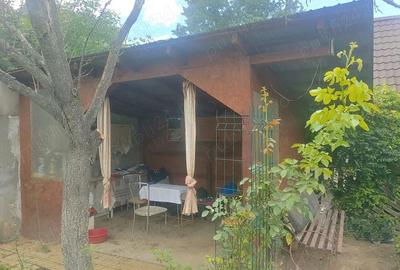 Casă cu Teren 1125 Mp în Micălaca - 3