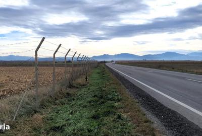 Teren de 14450 mp, în Feldioara - 3