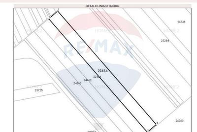 Teren Investi?ional de 52500 mp in Arice?tii Rahtivani... - 5