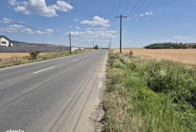Spațiu comercial, în Vințu de Jos - 5