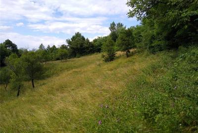 Teren de 4700 mp, în Romos - 1