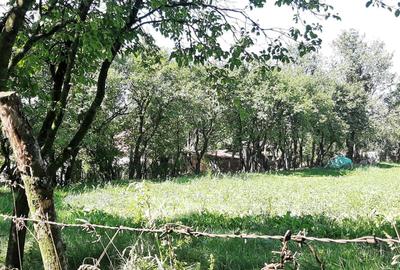 Teren Construcții intravilan de 2589 mp, în Rediu - 3