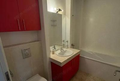 Apartament de 2 camere ( Constructie 2009)-Delea Veche-Calea Clarasilor - 10