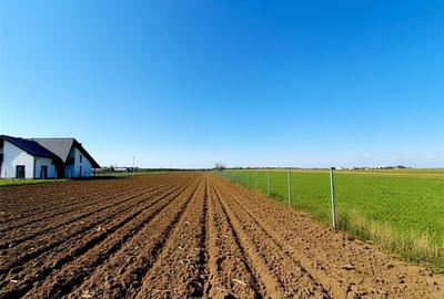 Teren Construcții extravilan de 3361 mp, în Sfântu Ilie - 4