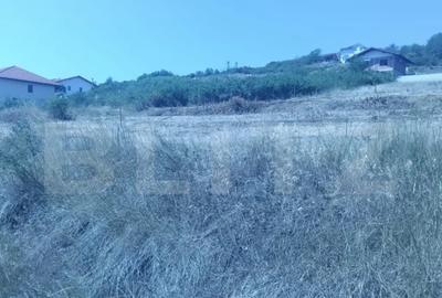 Teren de 1000 mp, în Central - 3