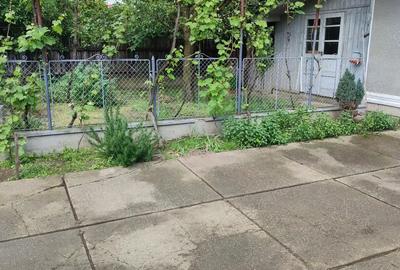 Casa de vanzare in Ineu, jud. Arad - 1