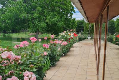 Casuta de vanzare, 149 mp utili, teren 1700 mp, Targoviste-z - 11