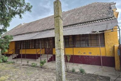 Casă cu 5 camere cu Teren 1870 Mp în Lenauheim - 7