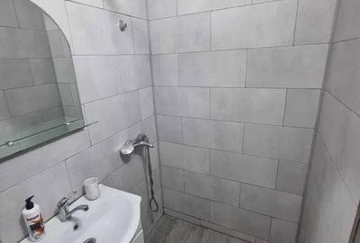 Garsonieră în Craiovița Nouă - 6