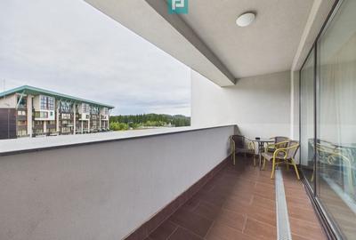 Proprietate premium Silver Mountain Resort - 2