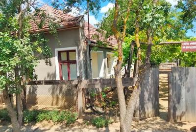 Casă cu 2 camere în Voivozi (Șimian) - 1