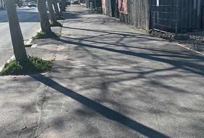Teren de 4400 mp, în Sisești - 3