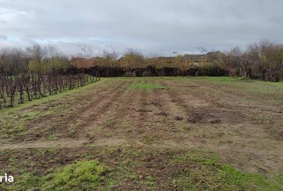 Casă cu 4 camere în Basarabi - 1