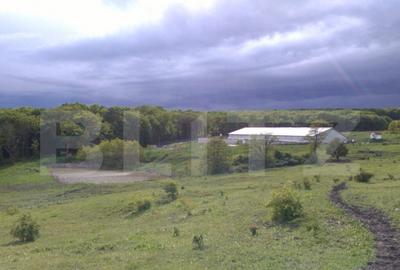 Spațiu comercial, de 3,000 mp, în Dej - 7