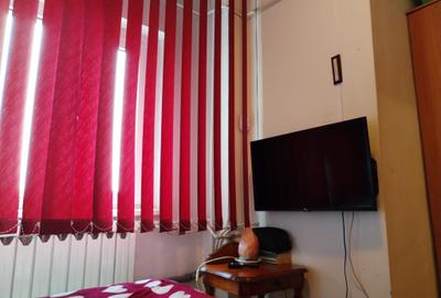 Apartament Studio - Brazda lui Novac - 8