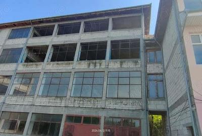 Cladire comerciala de vanzare Timi?oara - 2