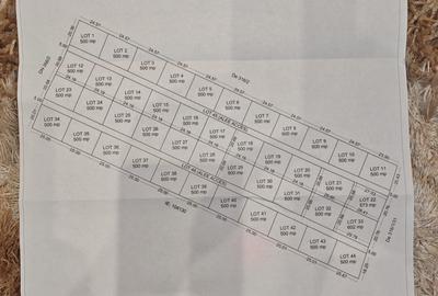 Oportunitate Unică – Loturi de Teren Extravilan în Năvodari cu Deschidere la DN! - 4