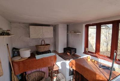 Casă individuală cu 4 camere cu Teren 1523 Mp în Cărbunești - 12