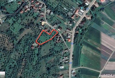 Teren de 4100 mp, în Remetea Chioarului - 8