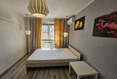 Garsoniera 29 mp- mobilata/utilata zona Nicolae Grigoresc... - 15