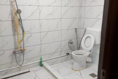 Casa individuala de inchiriat- zona Fundeni - 12