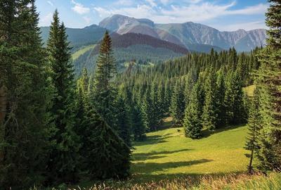 Studio premium -Poiana Ski Chalet,investitie smart in inima statiunii - 17