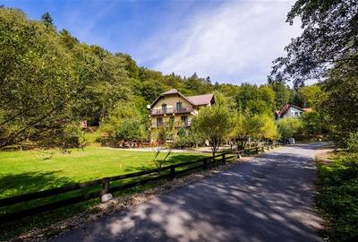 FILM! Pensiune turistica+Casa+transfer afacere+2000 mp teren,Cheile Rasnoavei,Br - 18