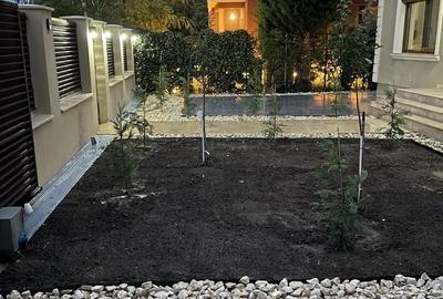 Comision 0% | Casa individuala Tunari | Curte libera 200 mp - 3