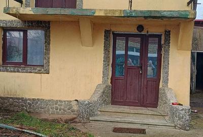 Casă cu Teren 1335 Mp în Săvinești - 9