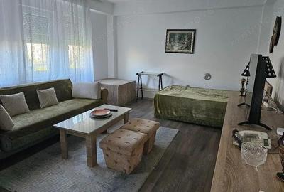 Apartament cu o camera de inchiriat in zona Circumvalatiunii - 1