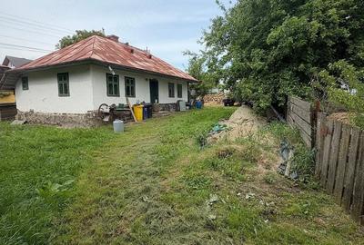 Teren de 2600 mp, în Șerbăuți - 6