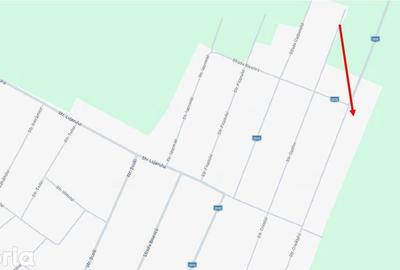 Casă cu 2 camere cu Teren 2920 Mp în Padina - 2