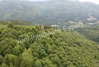 Teren de vanzare in apropiere de Transfagara?an ?i Valea Valsanului. - 10